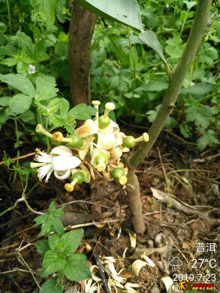 微信图片_20190723204819.jpg
