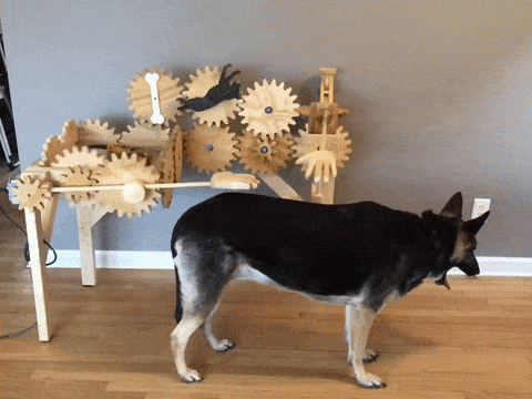 t016c2acecfdb8cdb04.gif