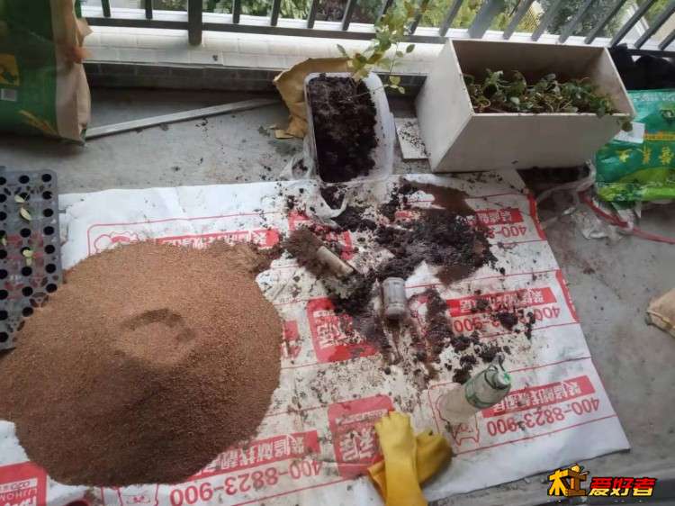 微信图片_20191219224741.jpg