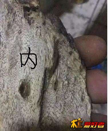 e2e3f51f3a292df599b40c47b3315c6034a8737e.jpg