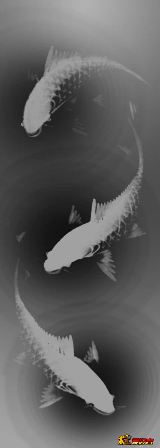 PS_0015b.jpg