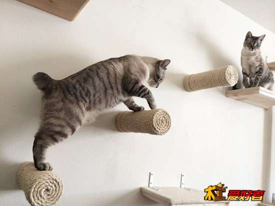 CatastrophicClimbers5.jpg