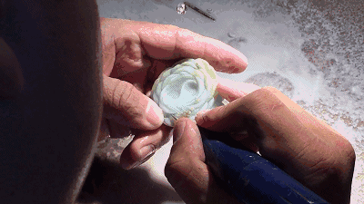 timg (4).gif
