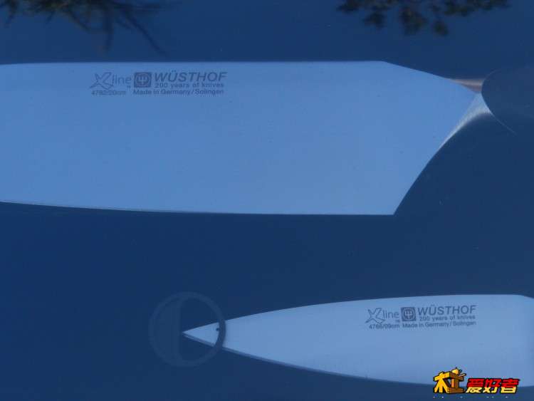 DSCN6539.JPG