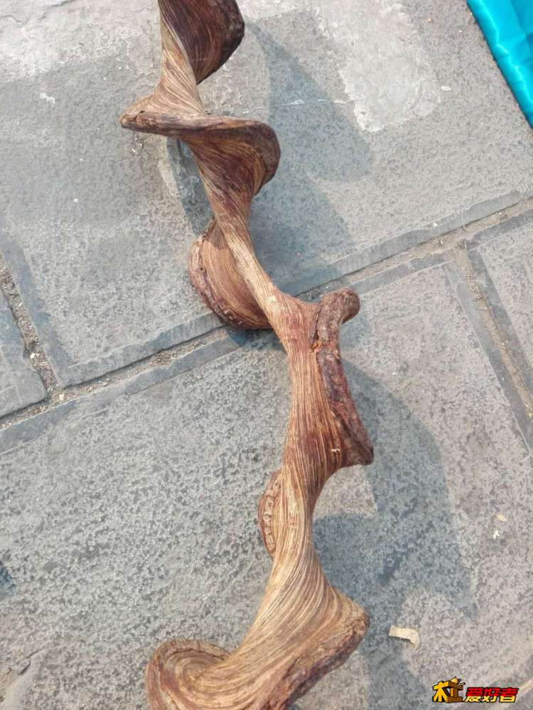 微信图片_20210118135943.jpg