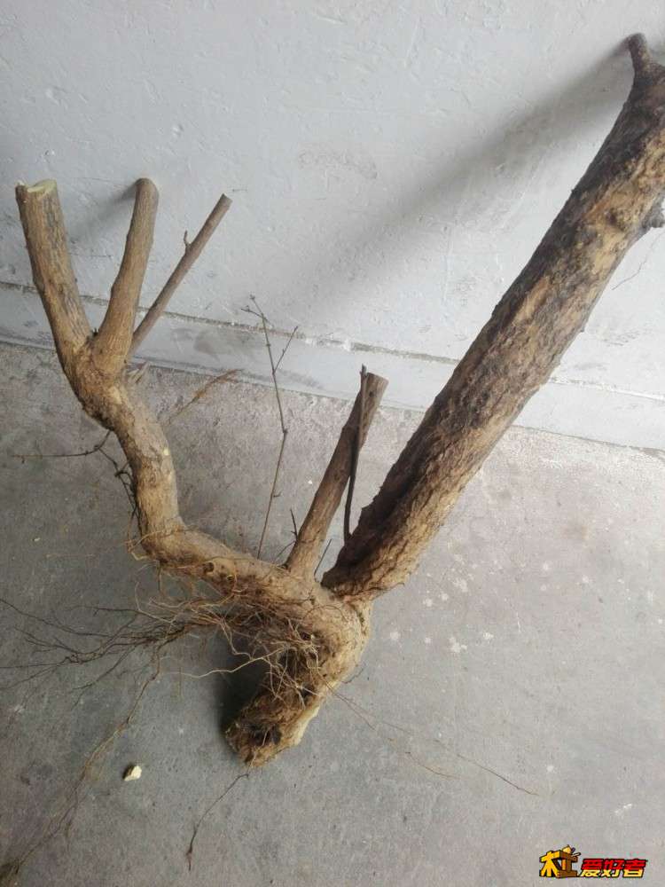 微信图片_20210119170737.jpg