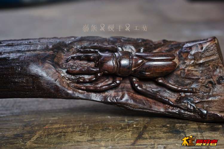 _MOL8329 拷贝.jpg