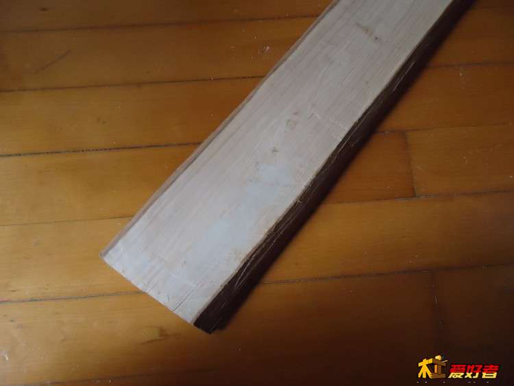 樟叶枫
