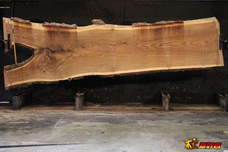 siberian-elm-slab-945-3.jpg