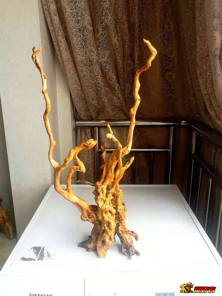 背面