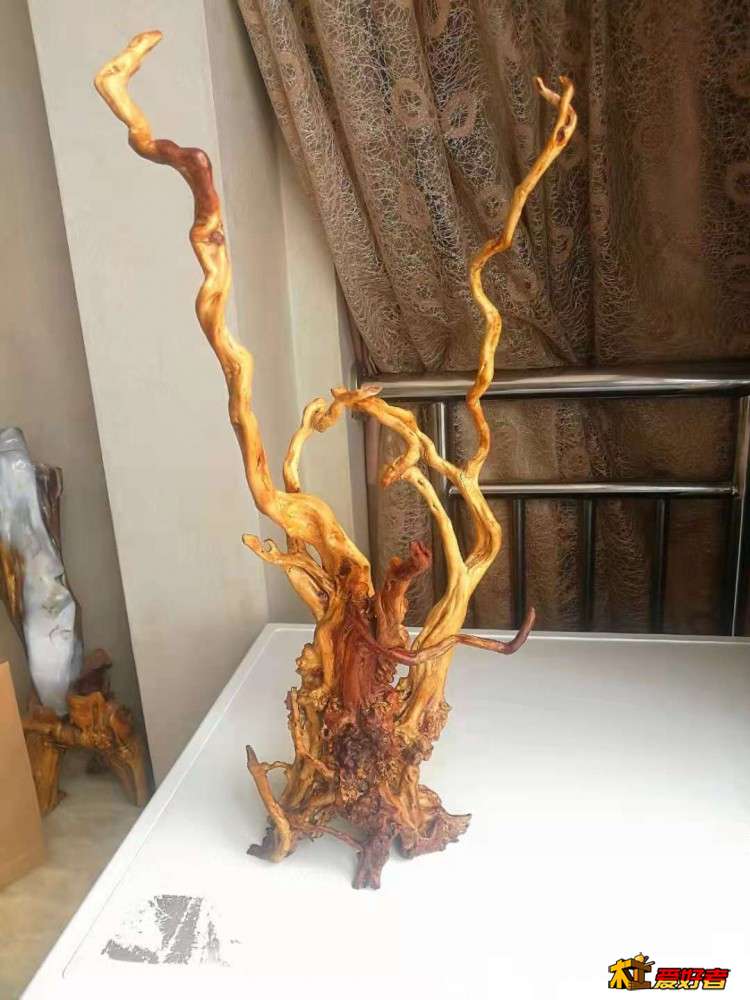 正面