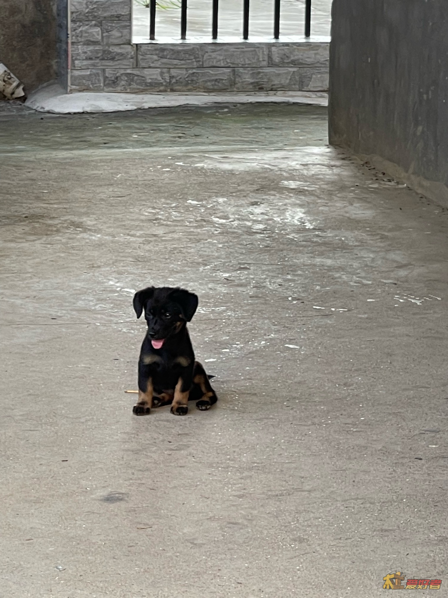 问个材料（图片随便配的）