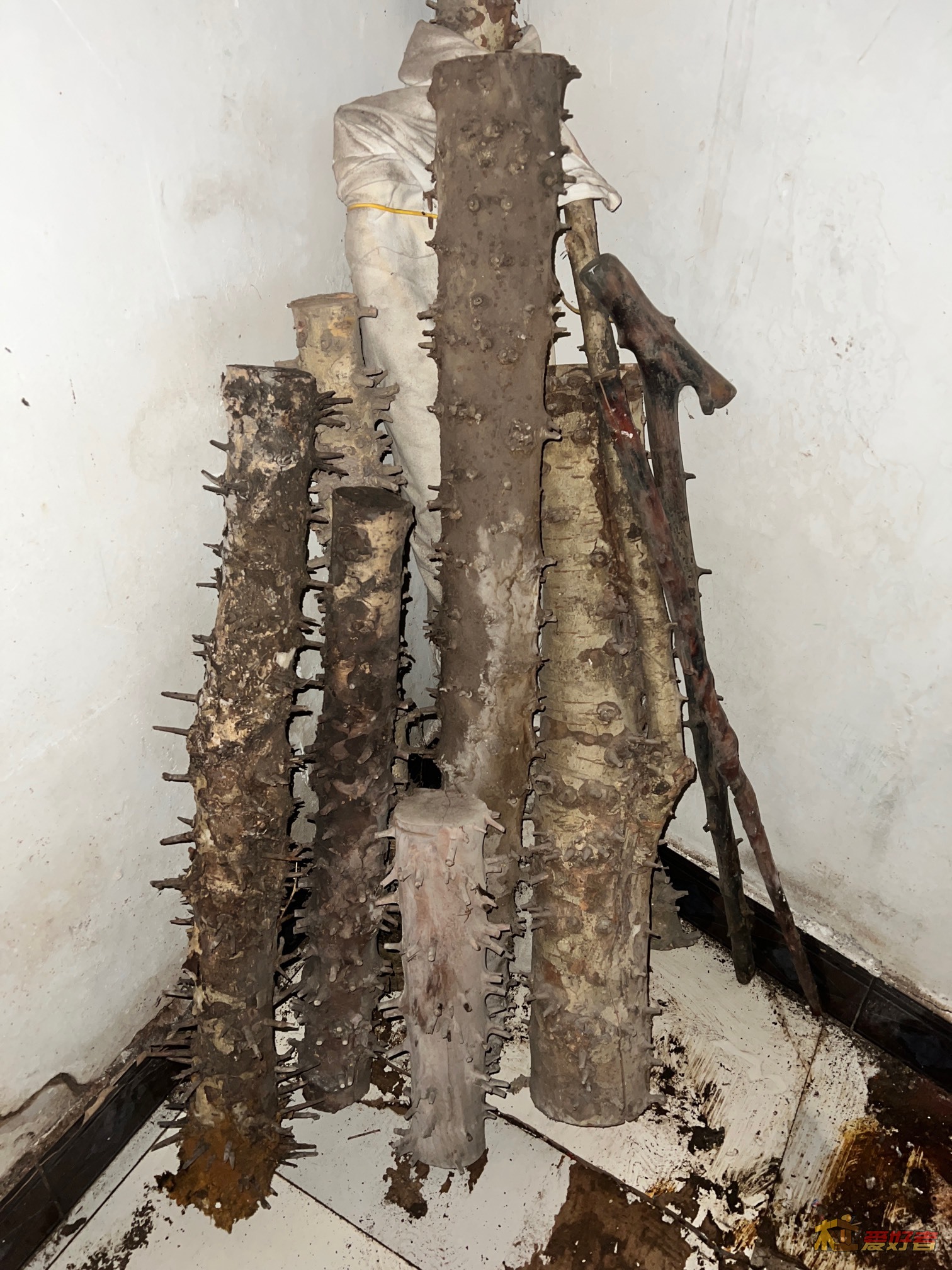 收拾老房子，收出一些木料，有识货的大神吗？