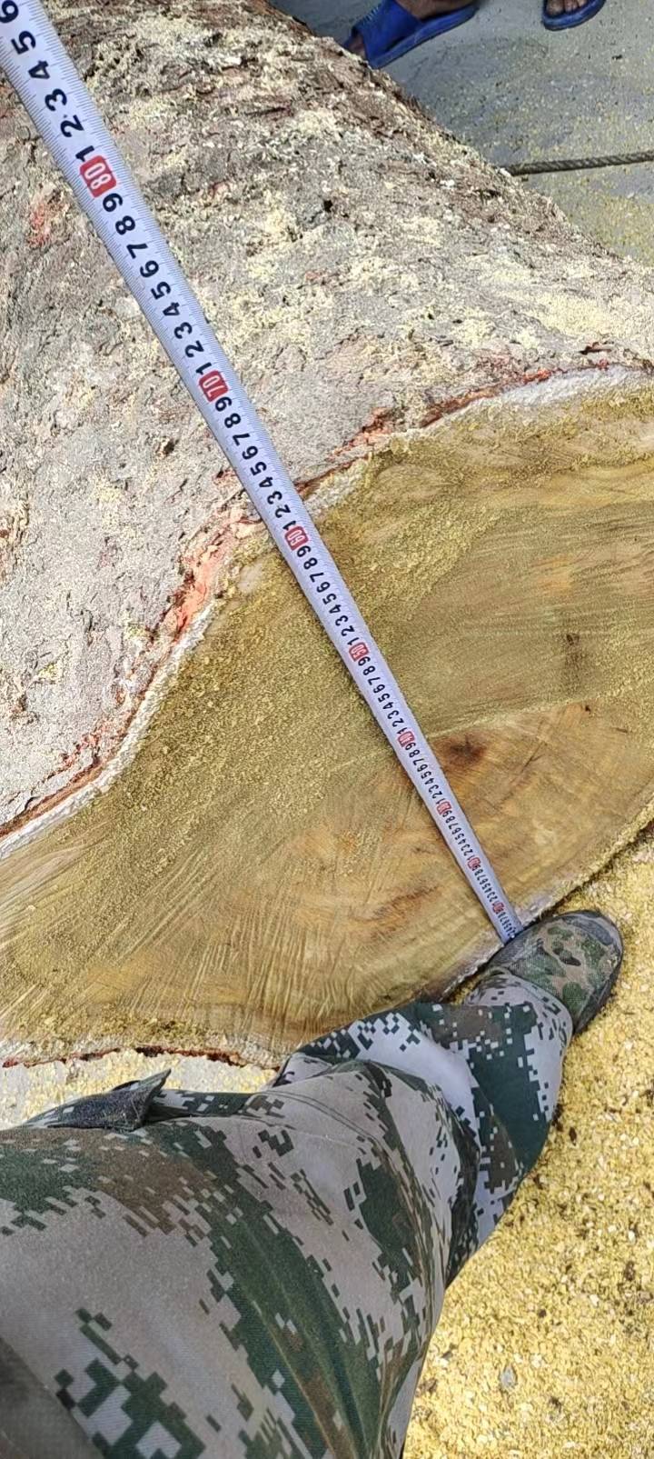 1675768040666805_152.jpg
