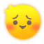 face_zhoumei.png
