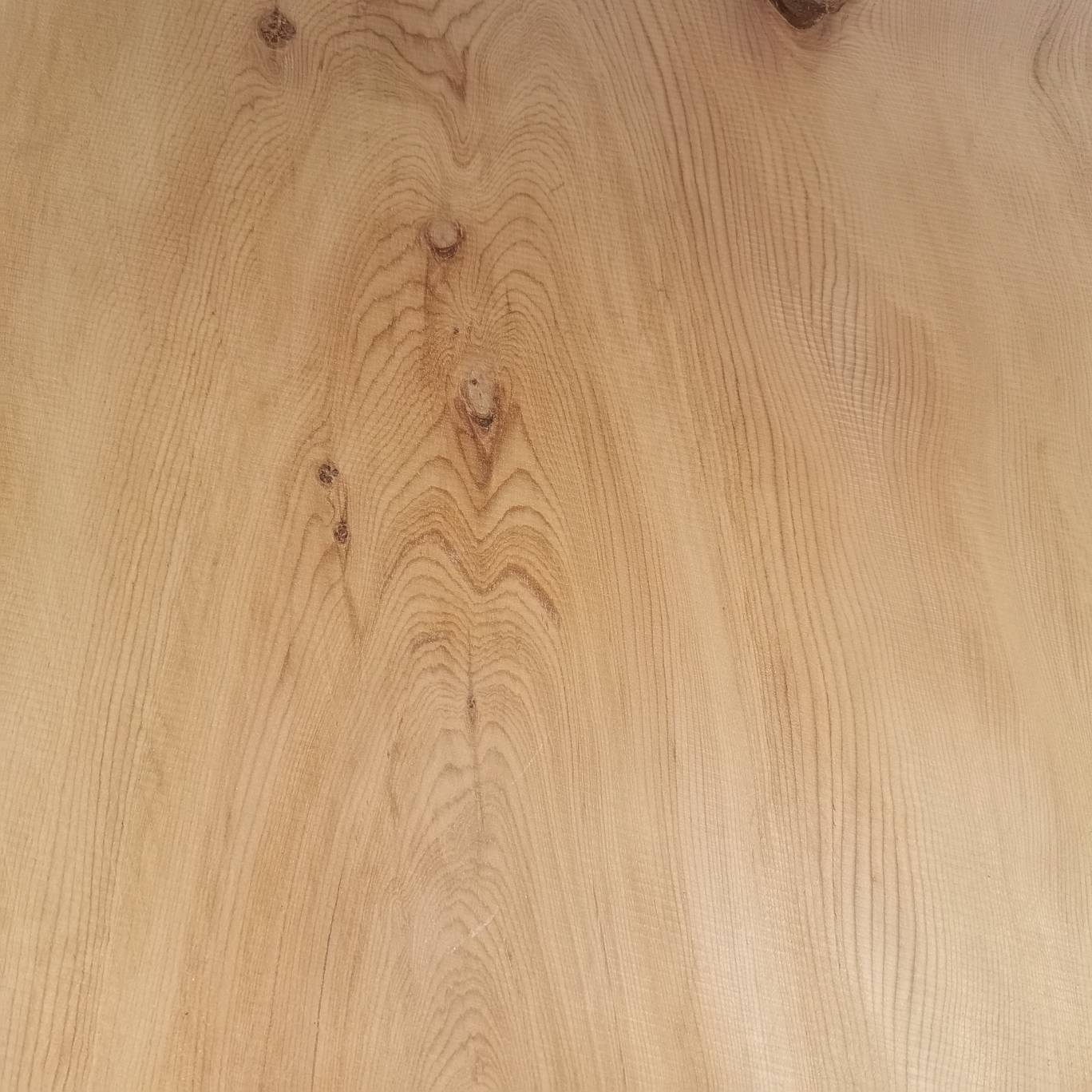 1648179585689746_323.jpg