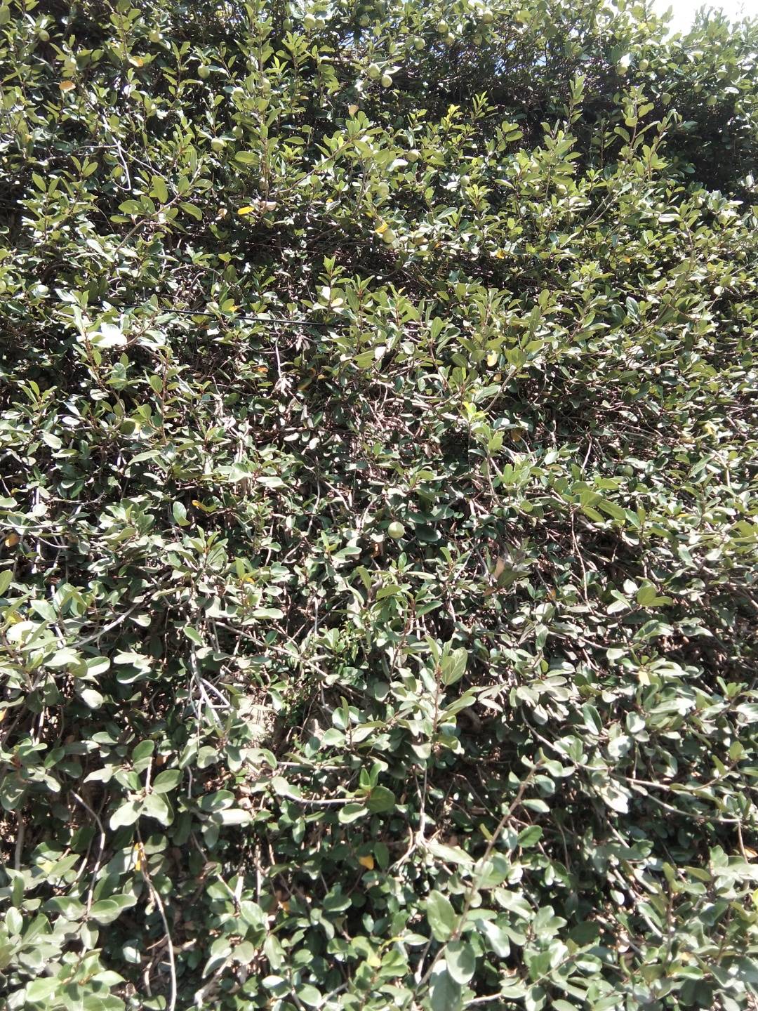 1647429567379535_265.jpg