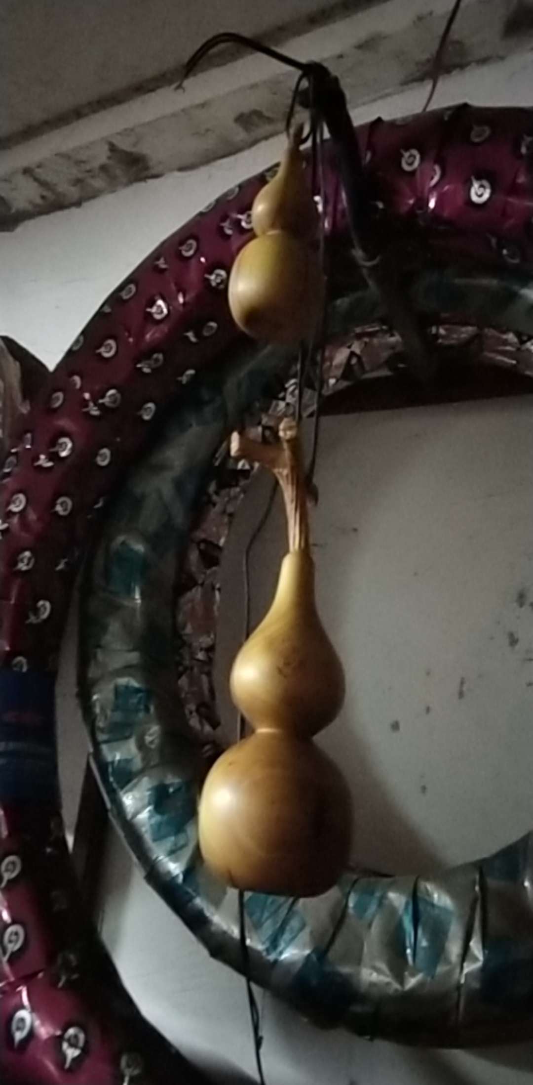 1553782509179608_696.jpg
