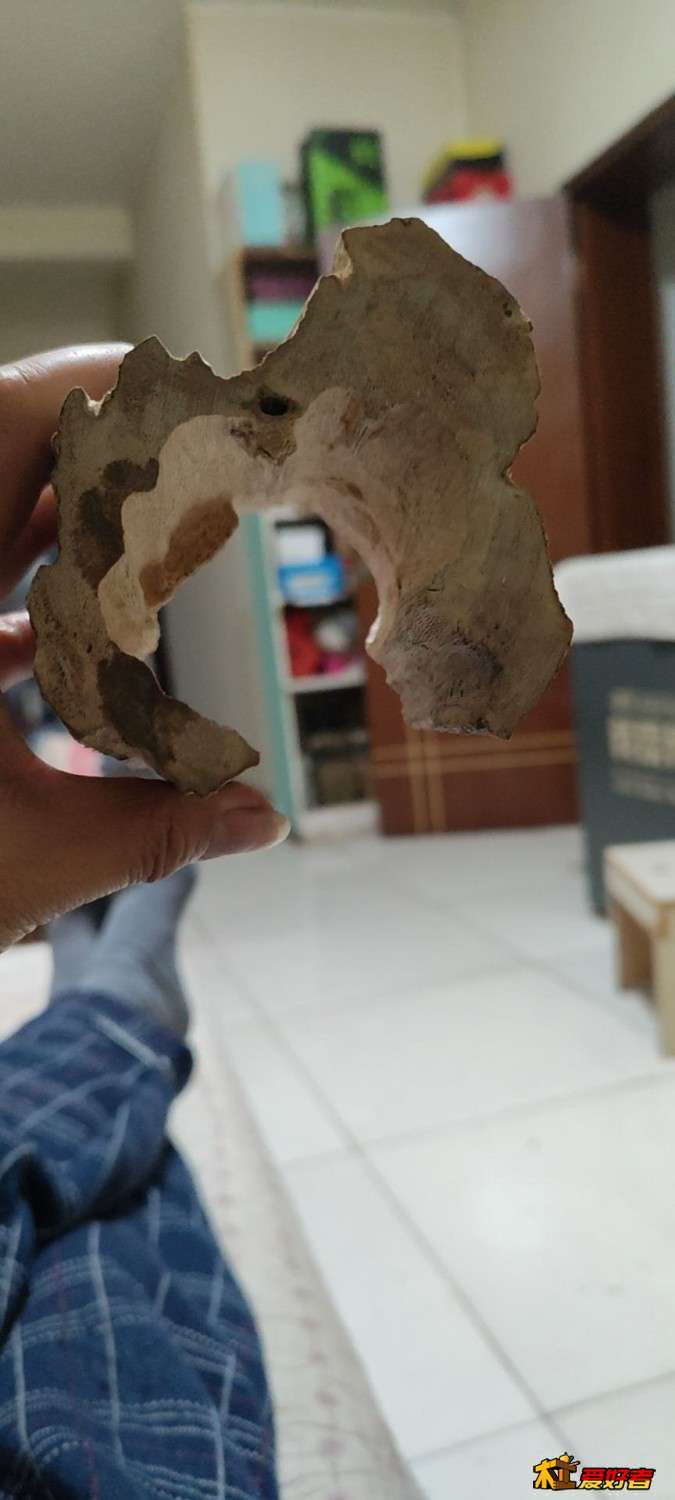 wechat_upload175862631868d2820eb0aa5