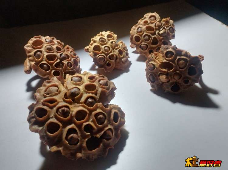 wechat_upload1762608821690f46b530b4b