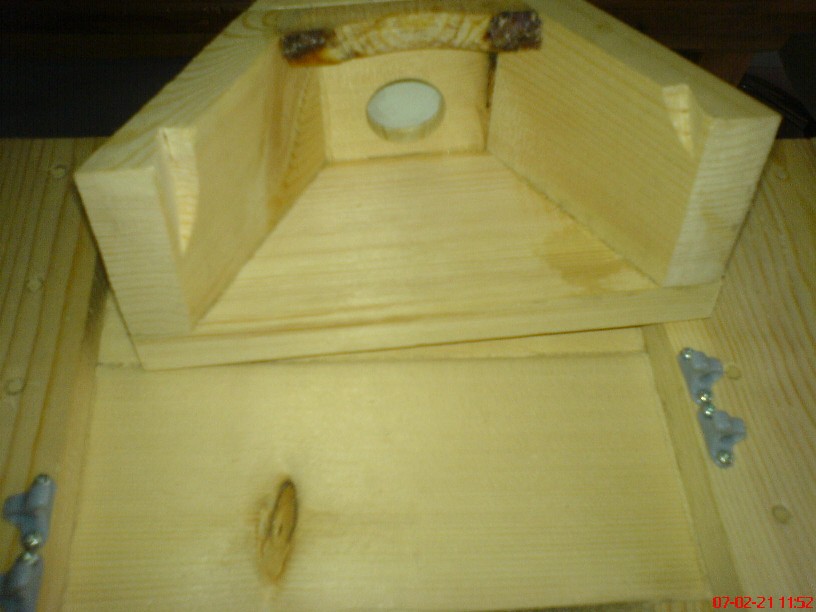 DSC00222.JPG