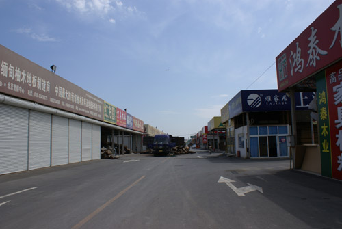 DSC01080.JPG