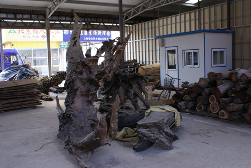 DSC01084.JPG