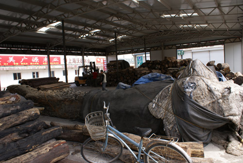 DSC01090.JPG