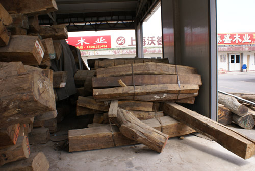 DSC01096.JPG