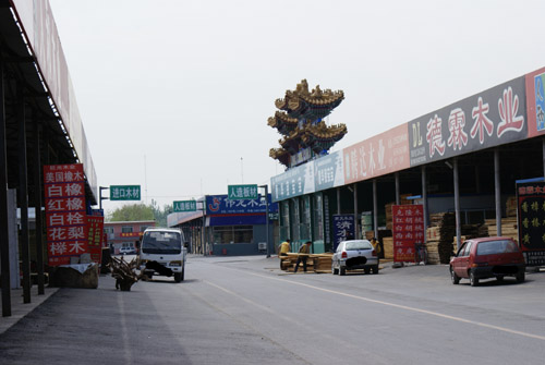 DSC01113.JPG