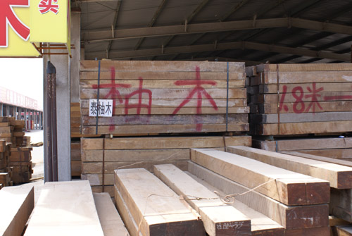 DSC01125.JPG