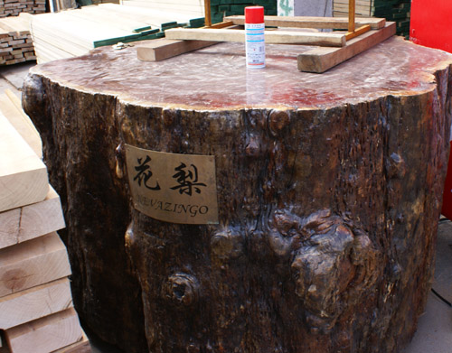 DSC01140.JPG