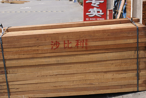 DSC01157.JPG