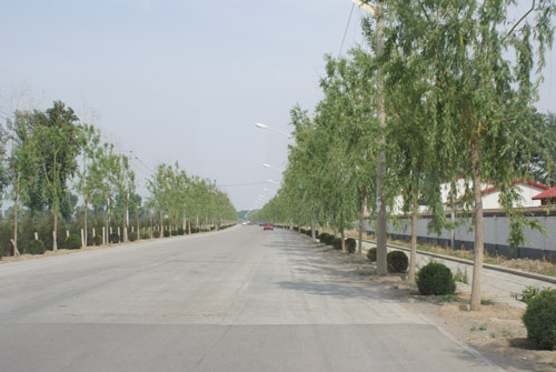 DSC01176.JPG