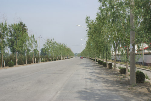 DSC01177.JPG