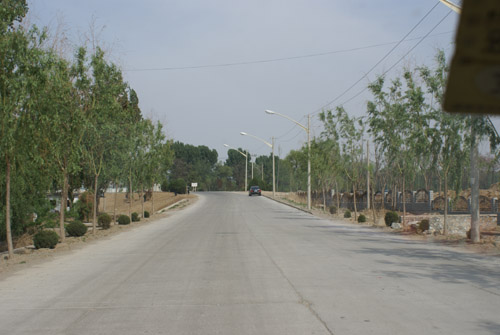 DSC01178.JPG