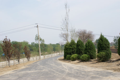 DSC01183.JPG