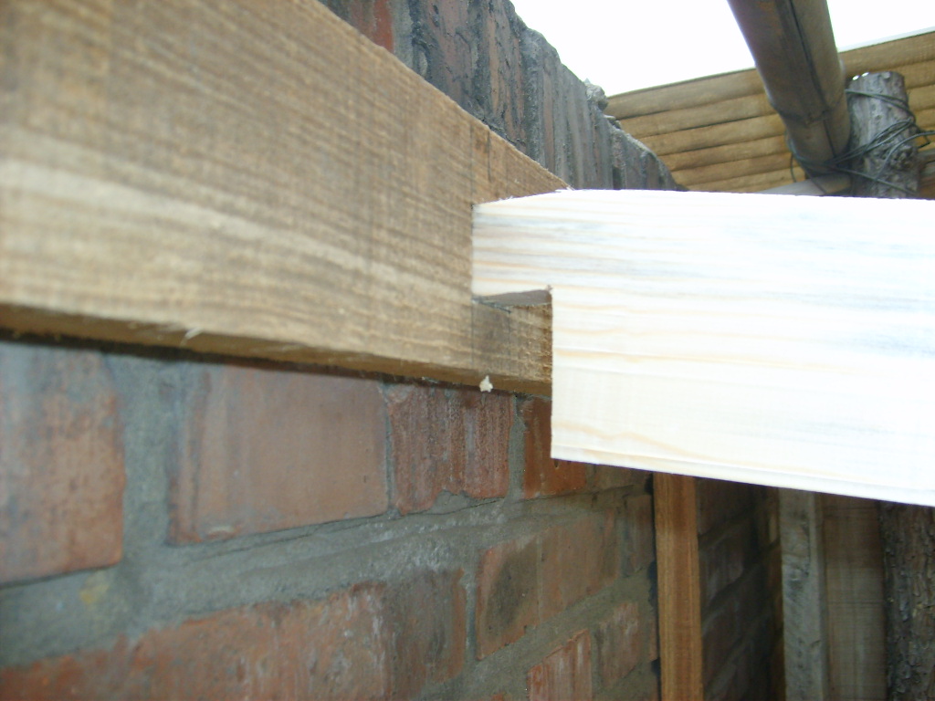 S5001110.JPG
