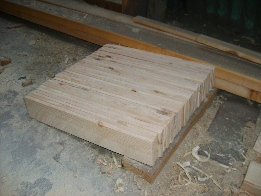 S5001118.JPG