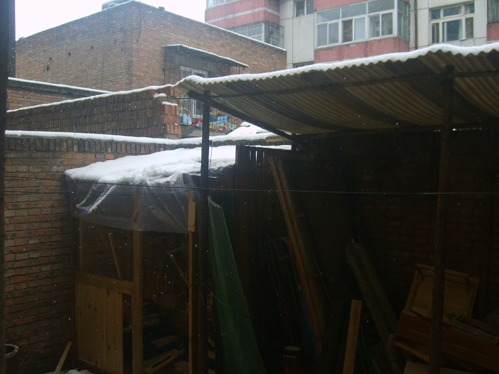 S5001121.JPG