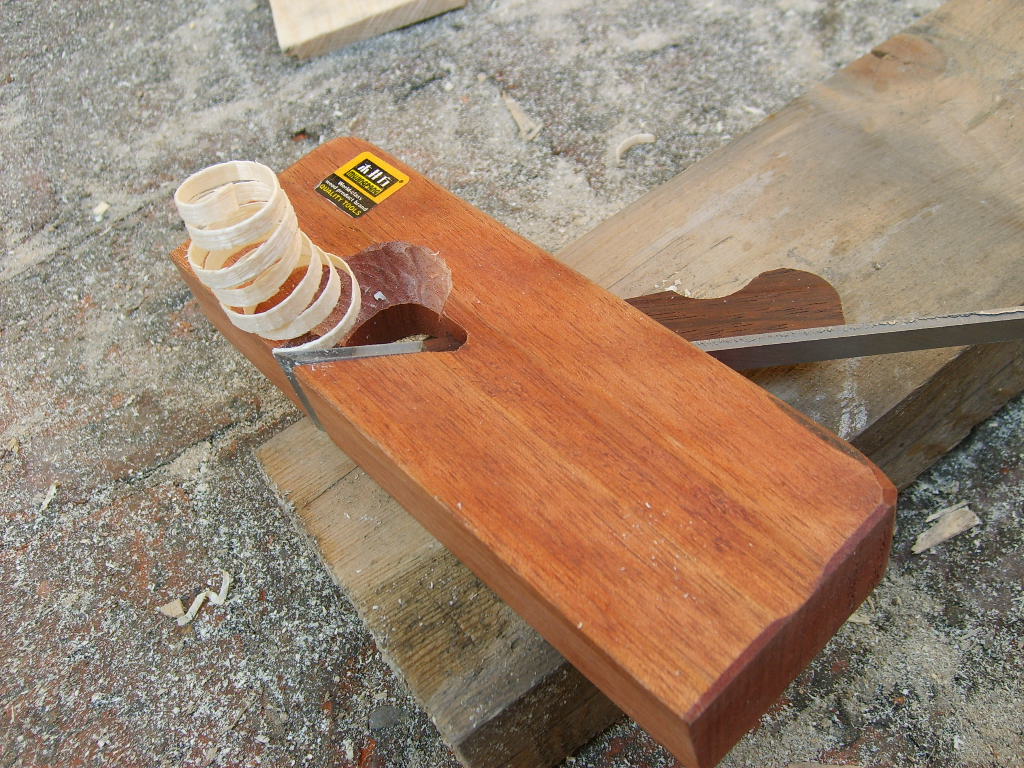 S5001138.JPG
