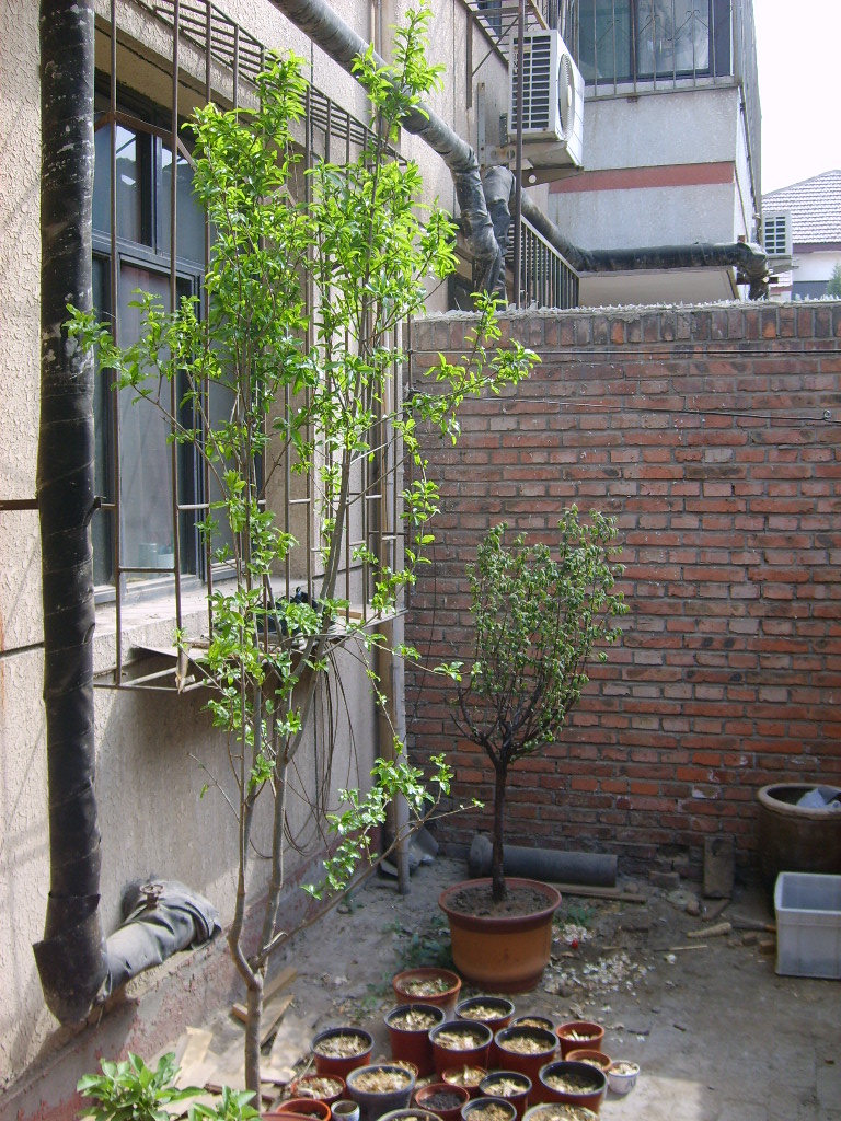 S5001268.JPG