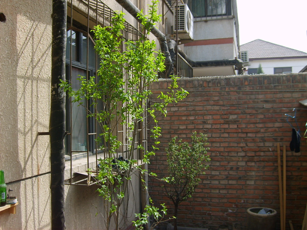 S5001269.JPG