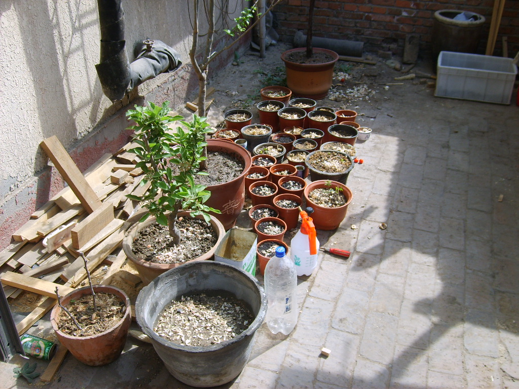 S5001270.JPG