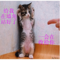30.gif