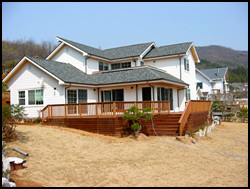 95.jpg