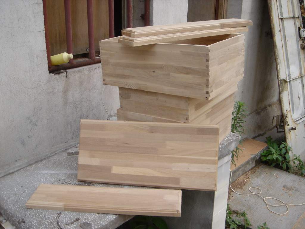 DSC02679.JPG