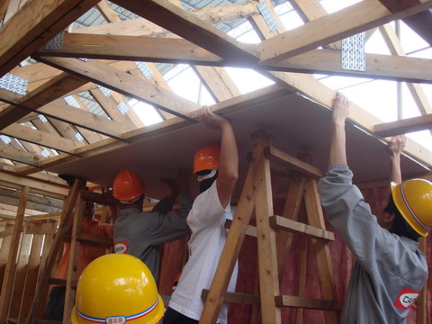 DSC03031.jpg