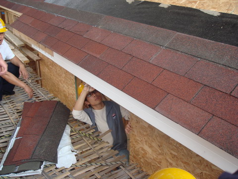 DSC03122.jpg