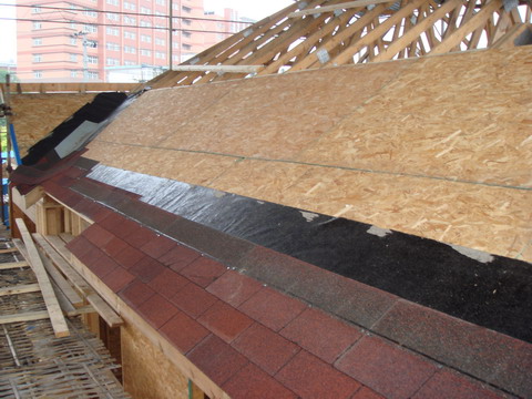 DSC02800.jpg